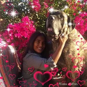 Meet your Posher, Larry